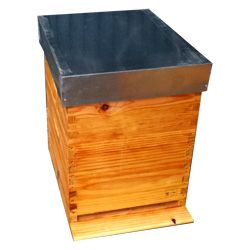 Colmena dadant enlazada
