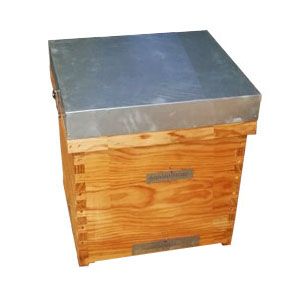 Colmena layens 10 cuadros enlazada transhumancia