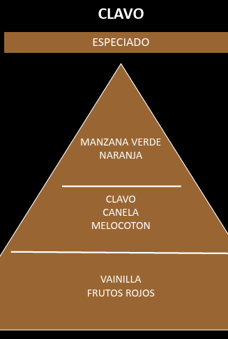 Esencia aromática Clavo - Imagen 2