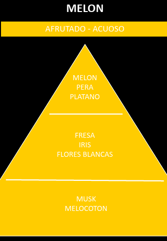 Esencia aromática Melón - Imagen 2
