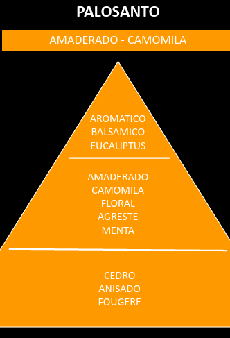 Esencia aromática PaloSanto - Imagen 2