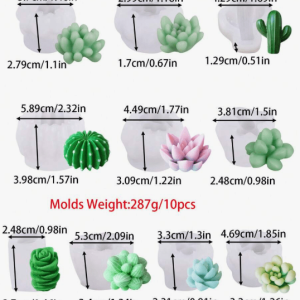 Molde de Silicona Set de Cactus