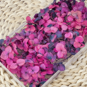 Flores de Hortensia - Modelo 2