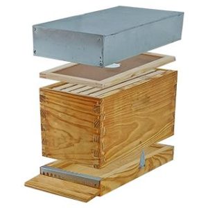 Nucleo Langstroth 5 cuadros Base desmontable